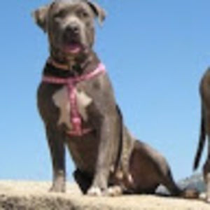 Meet your Posher, Austin